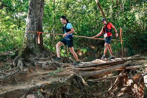 BIB: 
                            <button type="button" onclick="openModal(27552659)" class="btn btn-primary btn-sm float-right btn-popup" data-toggle="modal" data-target=".modal-high-quality">
                        <i class="fas fa-shopping-cart"></i> Add to Cart
                    </button>
                                            <button type="button" onclick="isThisMe(27552659, true)" class="btn btn-success btn-sm float-right btn-popup btn-isme hidden" data-toggle="tooltip" data-placement="bottom" title="นี่คือรูปของคุณใช่ไหม คลิกที่นี่เพื่อเอาเข้าอัลบั้ม">
                        <i class="fas fa-plus"></i> Add to album
                    </button>
                    <button type="button" onclick="isThisMe(27552659, false)" class="btn btn-warning btn-sm float-right btn-popup btn-isnotme hidden">
                        <i class="fas fa-ban"></i> Remove from album
                    </button>